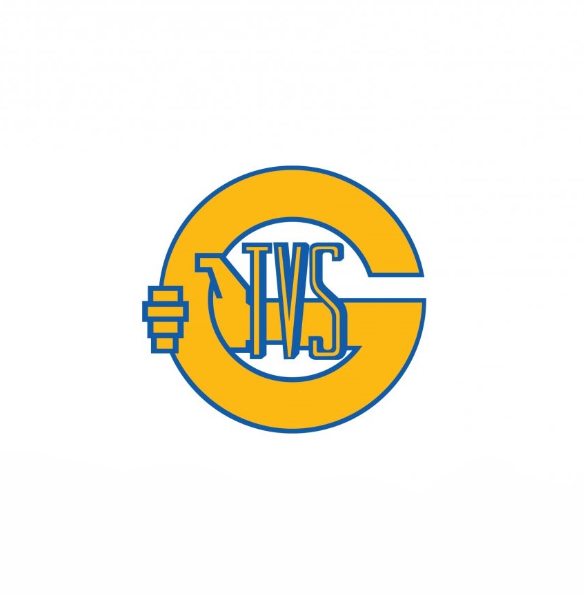 TVS Group (Real Talent Engineering) logo